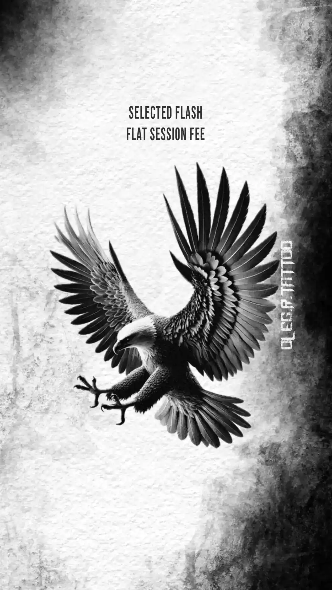 flying_eagle_black_and_grey_flash