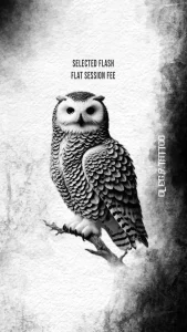 realistic_owl_tattoo_flash_black_and_grey